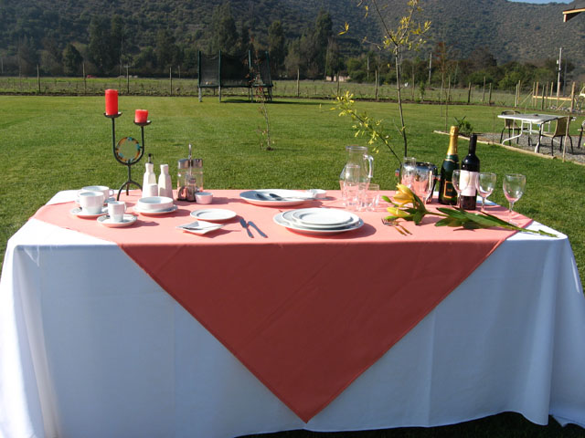 a todo evento chile santiago region metropolitana Atodoevento, Arriendo de Mesas, Arriendo de Sillas, Arriendo de Vajilla, Arriendo de Cristaleria y Cuchillería para Eventos